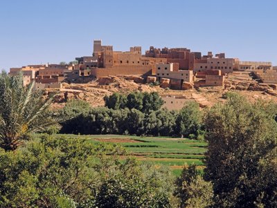View of the town by Unbekannt Unbekannt